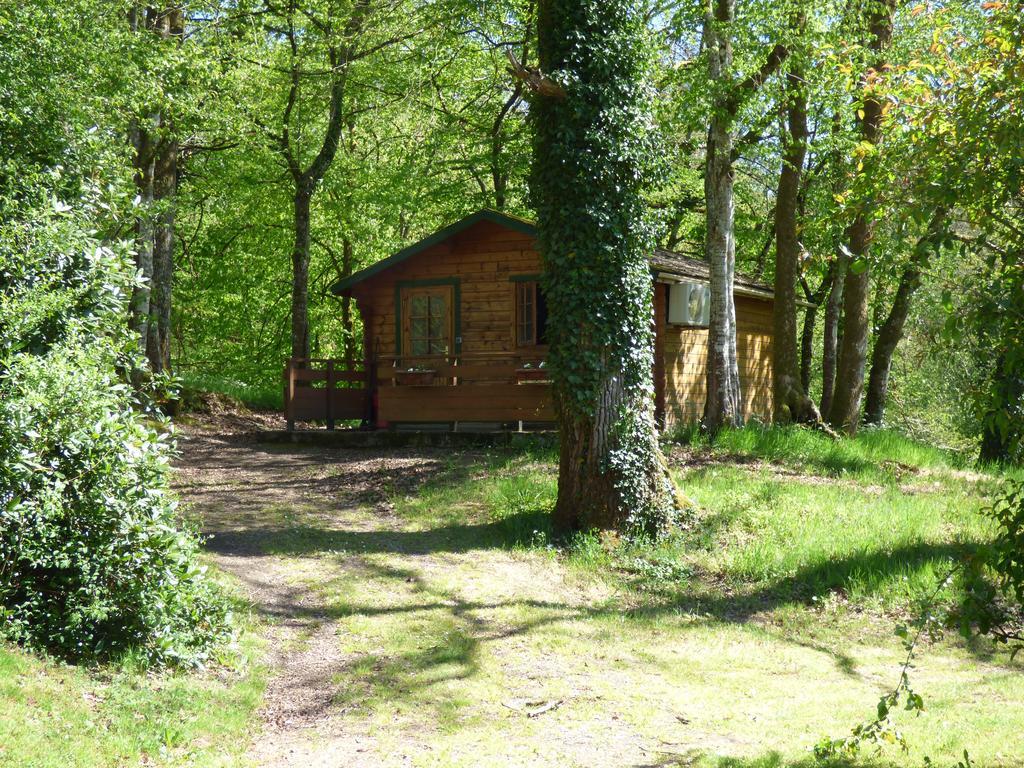 Beau Site Guimauve Et Vieilles Dentelles Acomodação com café da manhã Royères-Saint-Léonard Exterior foto